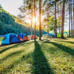 campingzelte unter kiefern mit sonnenlicht am pang ung see mae hong son in thailand