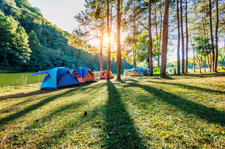 campingzelte unter kiefern mit sonnenlicht am pang ung see mae hong son in thailand