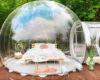 transparent bubble tent glamping scaled